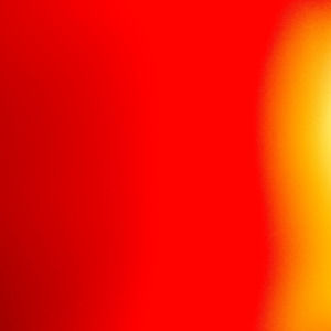 Meet your Posher, Rodney